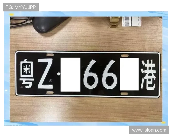 粤Z车牌号码的由来与粤Z地区的行政区划及交通管理解析 粤Z车牌号码的由来与粤Z地区的行政区划及交通管理解析