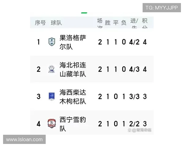 2025赛季沙特职业联赛积分榜分析 各队争冠形势与降级风险一览