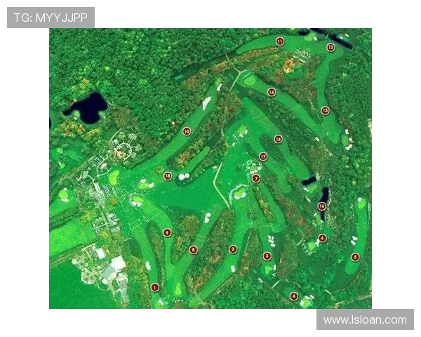 世界网球联赛2024赛程全景解析纵览顶级球星激战与精彩对决