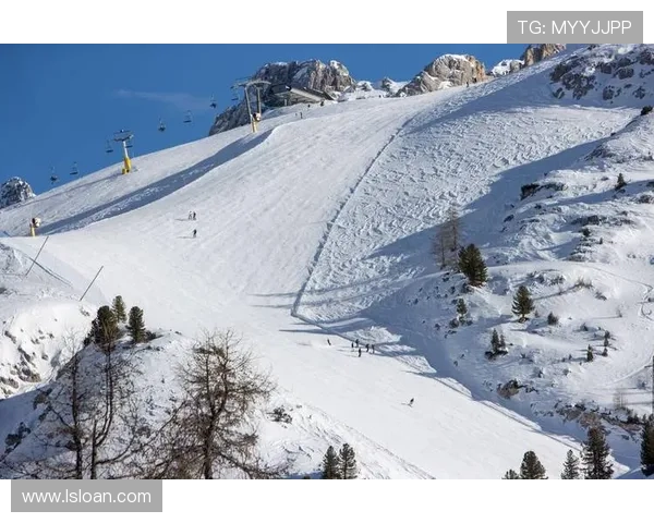 意大利是否会因经济与政治原因放弃2026冬奥会举办权分析 意大利是否会因经济与政治原因放弃2026冬奥会举办权分析